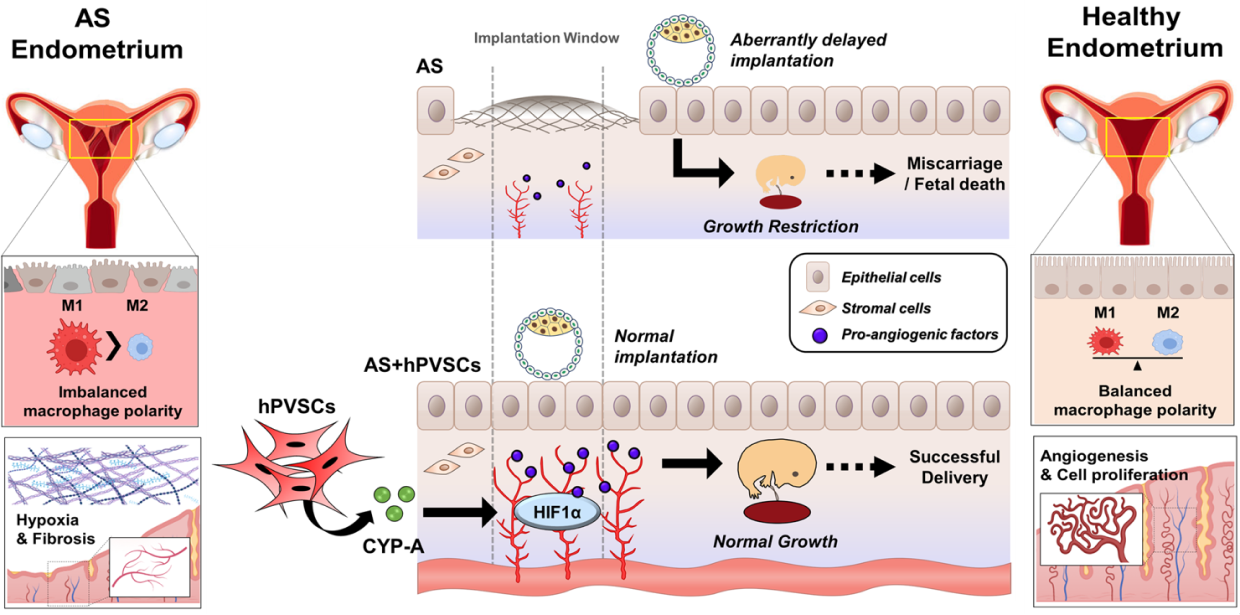 Research1 figure detail